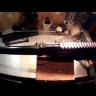 Планка на крышку ствольной коробки AKademia Змей, Weaver/Picatinny Видео