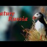 Бинокль Veber Nature Russia 10x42 Arctic Видео