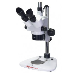 Микроскоп Микромед МС-4-ZOOM LED (тринокуляр). Вид 1