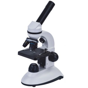 Микроскоп Discovery Nano Polar с книгой, серый