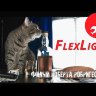 Осветитель студийный Falcon Eyes FlexLight 256 LED Видео