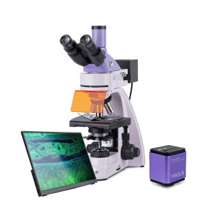  Микроскоп люминесцентный цифровой MAGUS Lum D400L LCD 