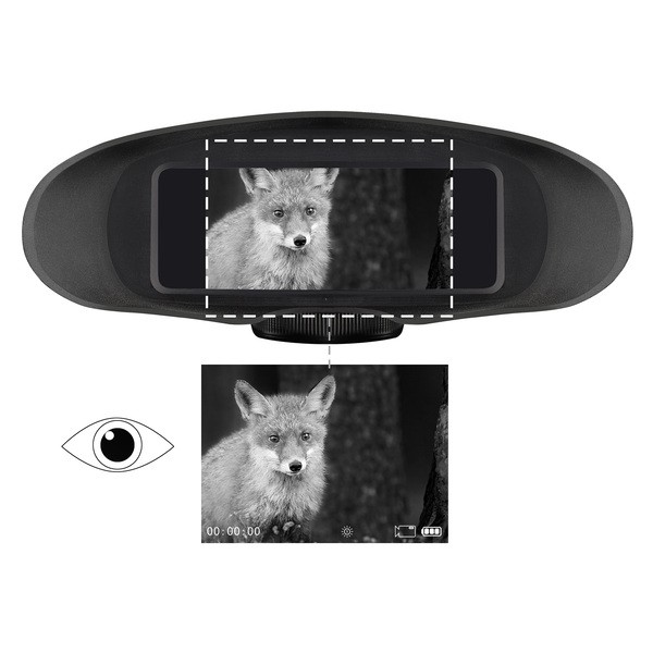 Цифровой бинокль ночного видения Bresser 3,5х, с функцией записи 