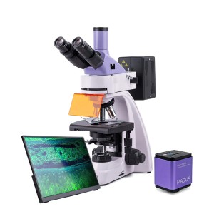 Микроскоп люминесцентный цифровой MAGUS Lum D400 LCD 
