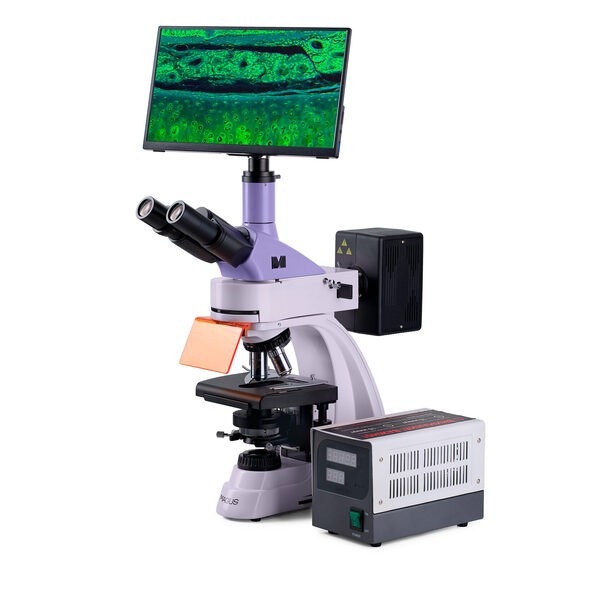 Микроскоп люминесцентный цифровой MAGUS Lum D400 LCD 