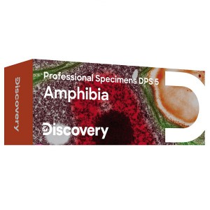 Набор микропрепаратов Discovery Prof DPS 5 «Амфибия»