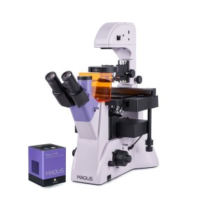  Микроскоп люминесцентный инвертированный цифровой MAGUS Lum VD500L 