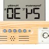 Термогигрометр Levenhuk (Левенгук) Wezzer BASE L60