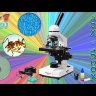 Микроскоп Микромед Р-1 (LED)  Видео